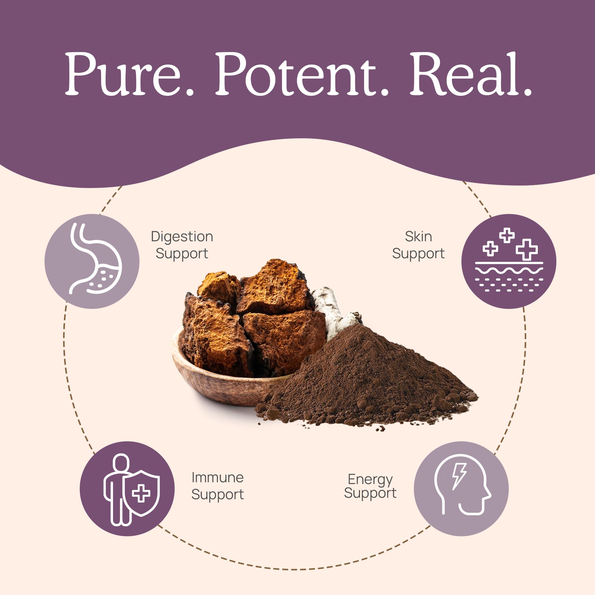 Flacon Real Mushrooms Chaga sur plan de travail, parfait pour mélange smoothie.