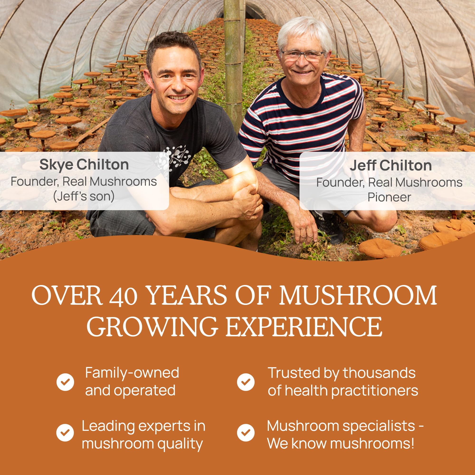 Real Mushrooms Cordyceps: fabriqué aux États‑Unis, traçabilité et qualité assurées