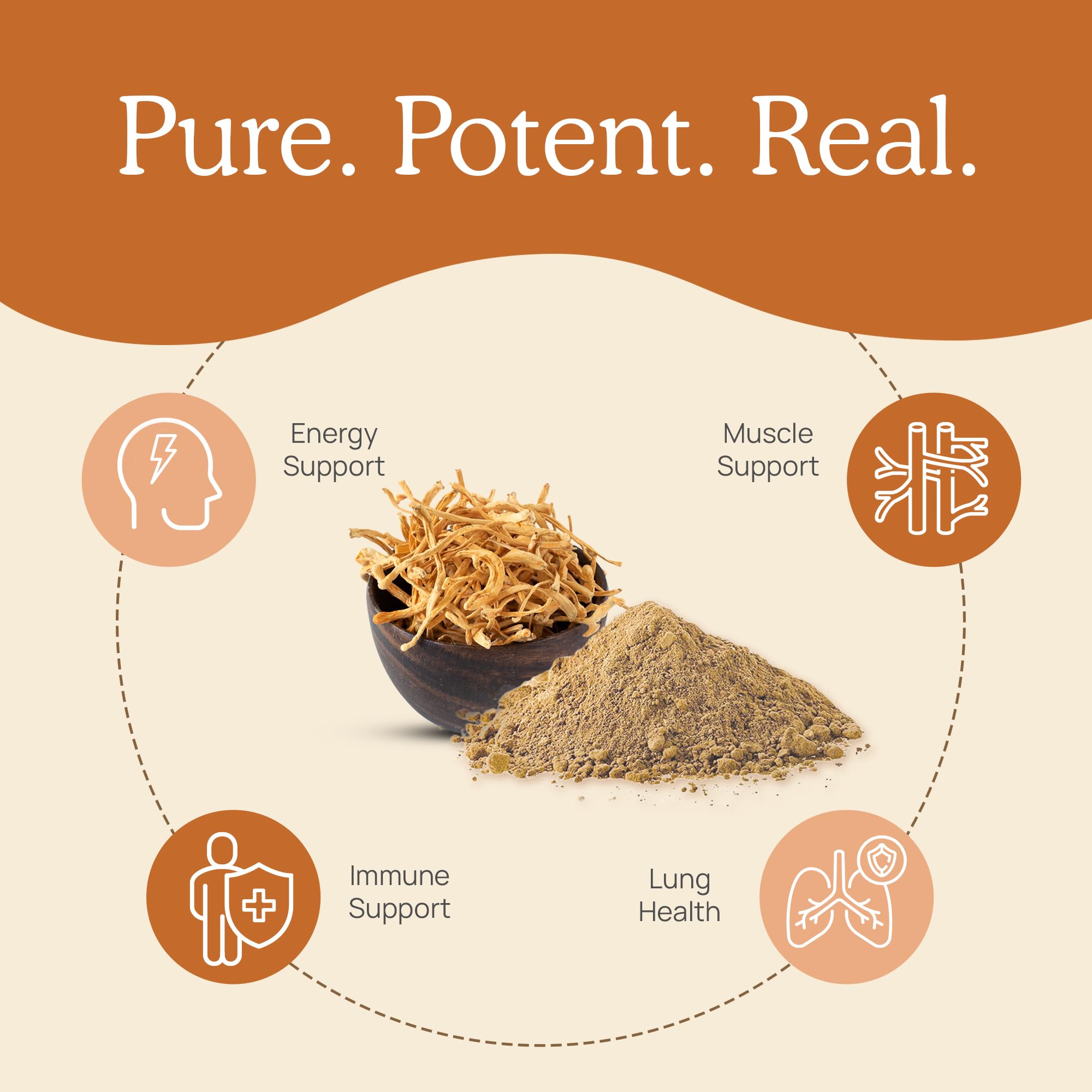 Real Mushrooms Cordyceps: prise quotidienne simple, deux gélules