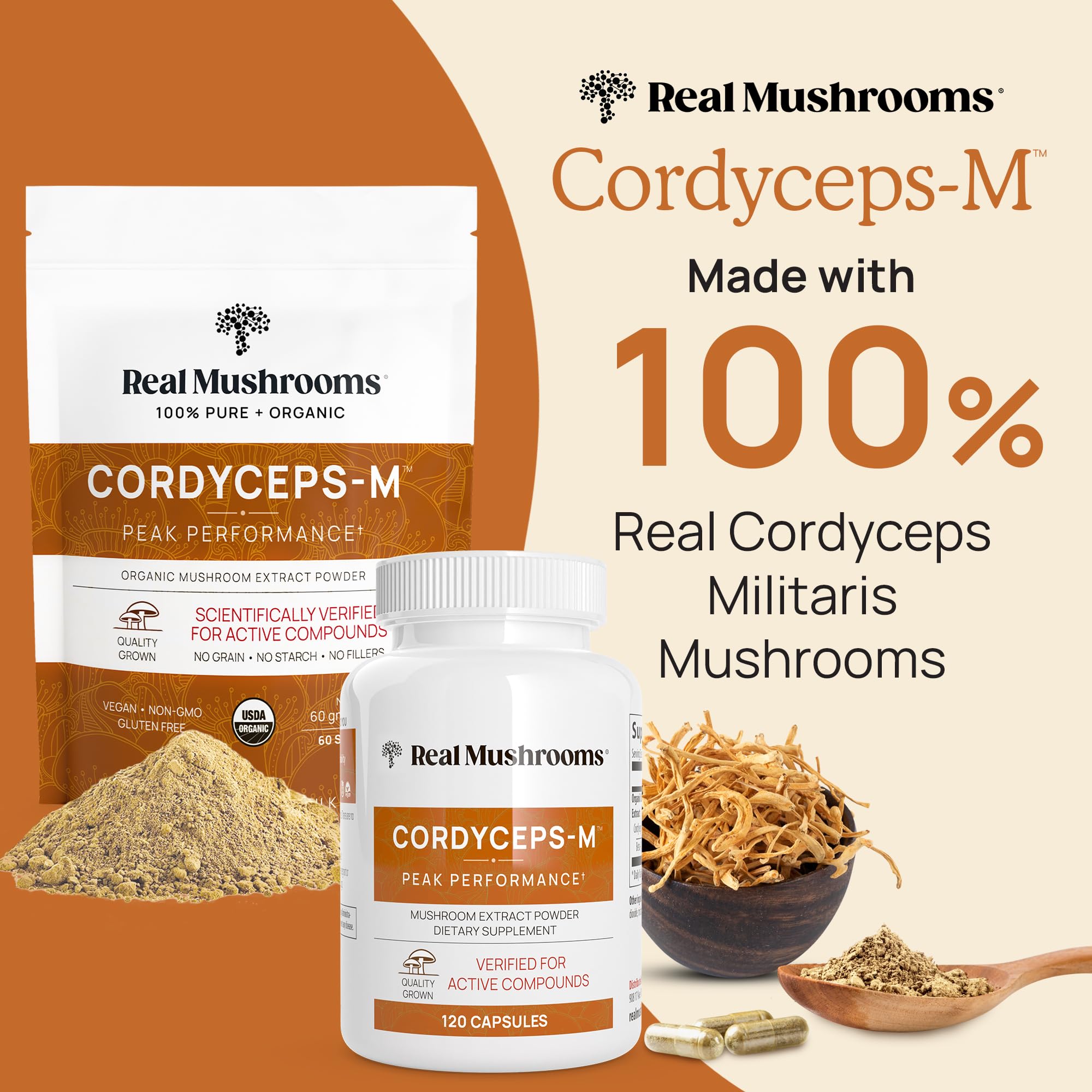 Real Mushrooms Cordyceps poudre thé, prête à infuser dans une tasse chaude.