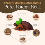 Real Mushrooms corps fruiting uniquement, sans mycelium.