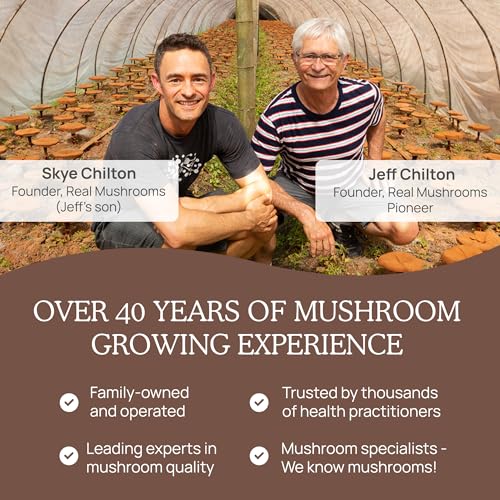 Real Mushrooms garantie satisfaction, assistance client disponible.