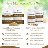 Ingrédients 100% pur Real Mushrooms Crête-de-Lion, sans additifs