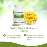 Real Mushrooms – production sans OGM aux États‑Unis
