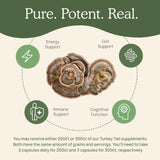 Real Mushrooms Queue-de-dinde, corps fruitifs visibles, extrait pur.