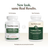 Real Mushrooms Queue-de-dinde, tests en laboratoire tiers et transparence.