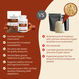 Real Mushrooms Reishi: utilisation facile dans smoothies.