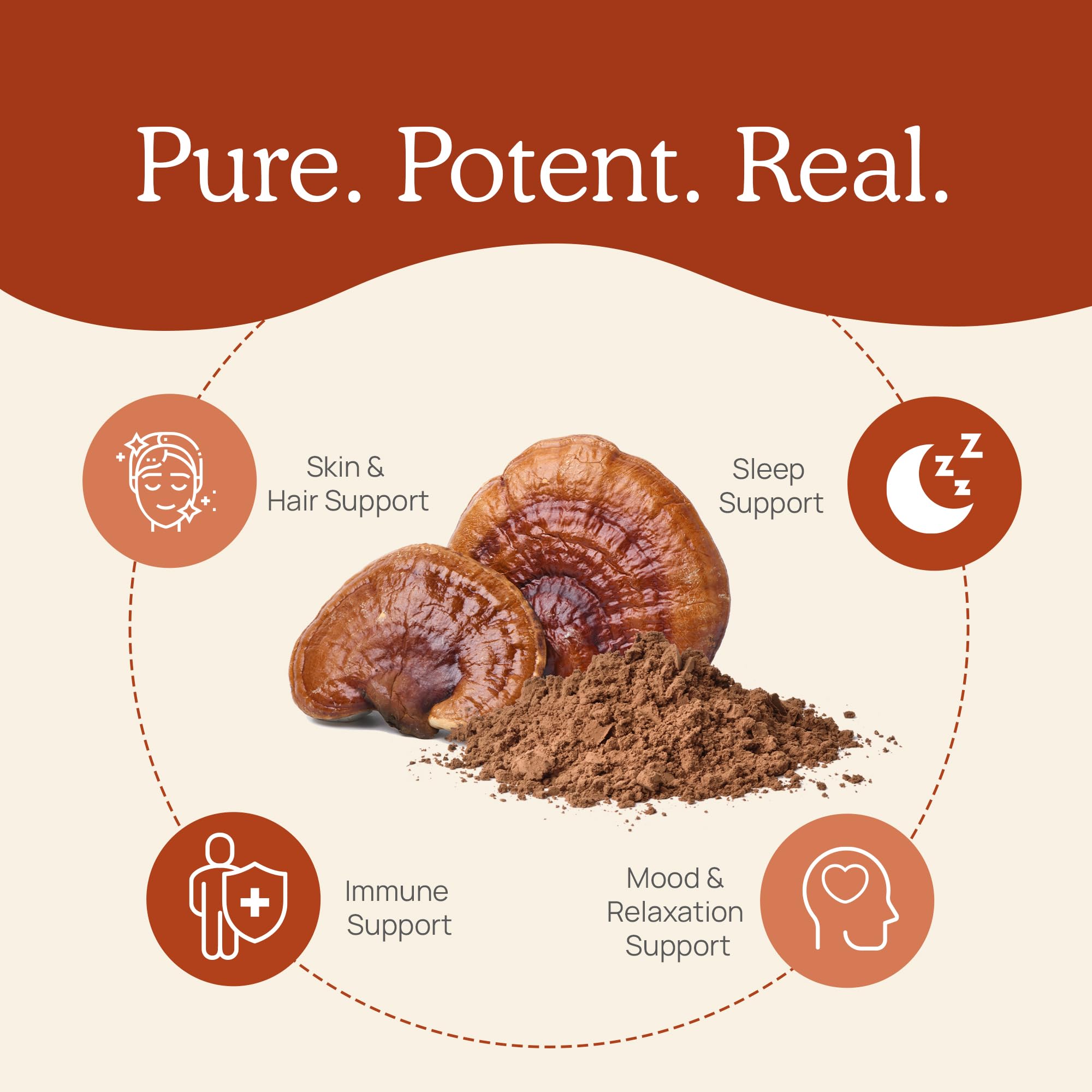 Real Mushrooms Reishi: sans additifs, sans OGM.