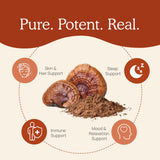 Real Mushrooms Reishi: sans additifs, sans OGM.