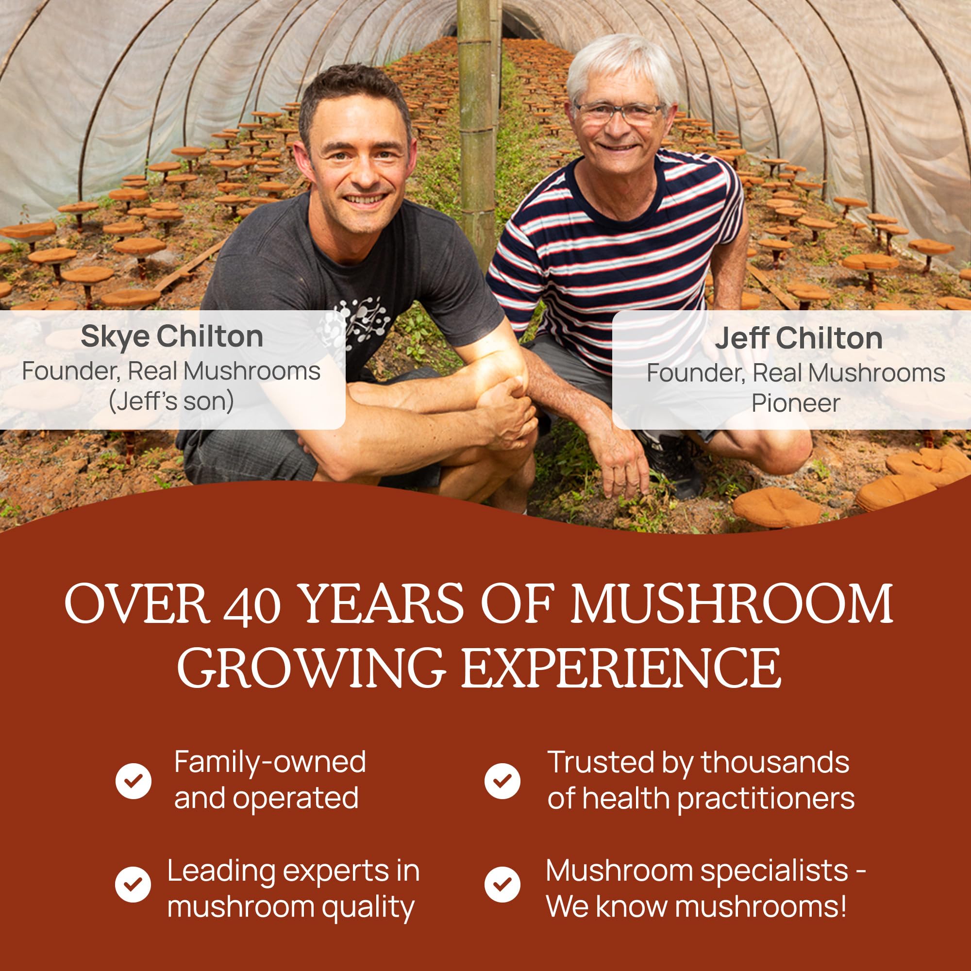 Real Mushrooms Reishi poudre sans gluten adaptée à votre rituel.