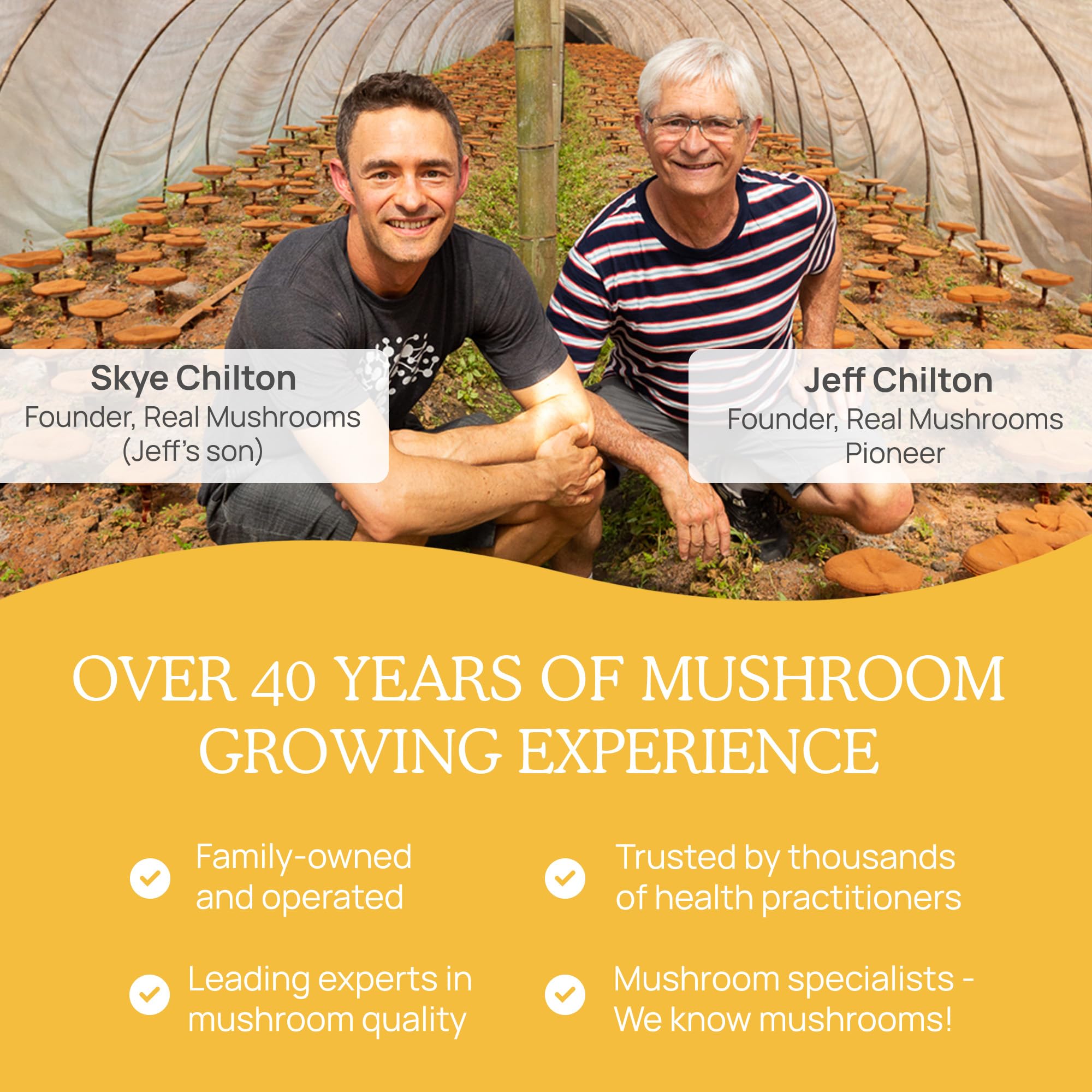 Real Mushrooms Tremella – contrôle NSF, sécurité et traçabilité assurées.