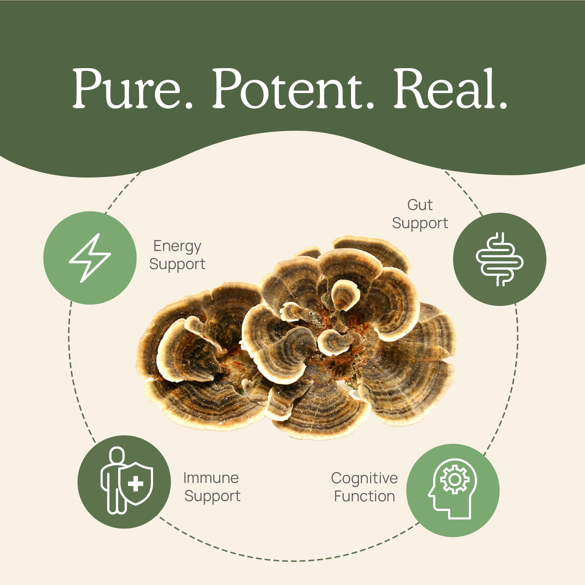 Real Mushrooms produit biologique fabriqué aux États-Unis, vegan et sans OGM.
