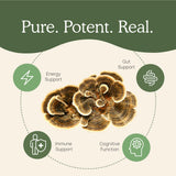 Real Mushrooms produit biologique fabriqué aux États-Unis, vegan et sans OGM.