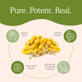 Real Mushrooms – utilisation facile: mélanger dans aliments ou boissons