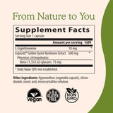 Real Mushrooms - emballage clair et informatif pour l’utilisateur