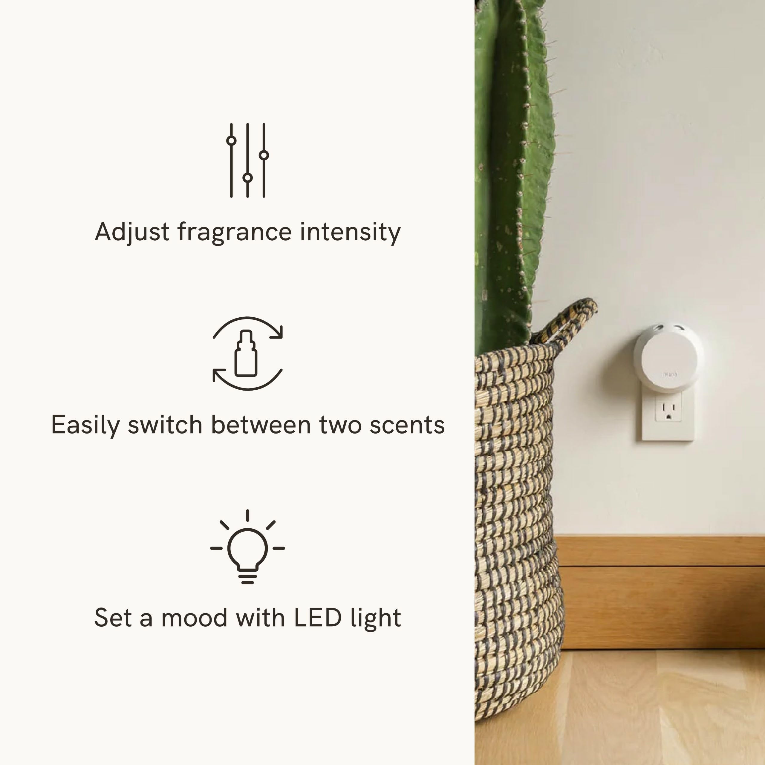 Recharge verveine citronnée, parfum équilibré pour des moments de détente