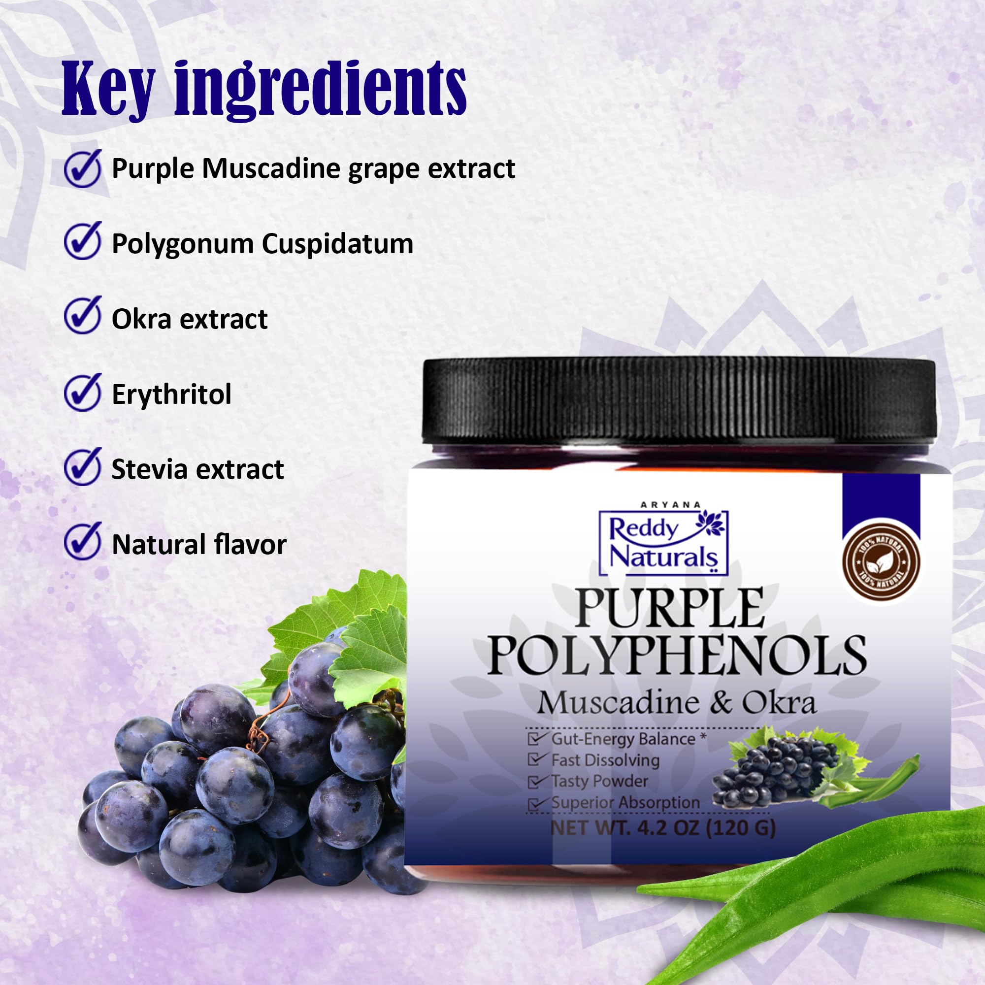Reddy Naturals Polyphénols favorise la santé intestinale et le confort digestif quotidien.