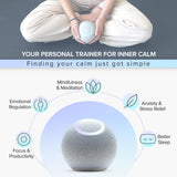 Reflect Orb, écran d’application montrant le suivi des progrès vers le calme.
