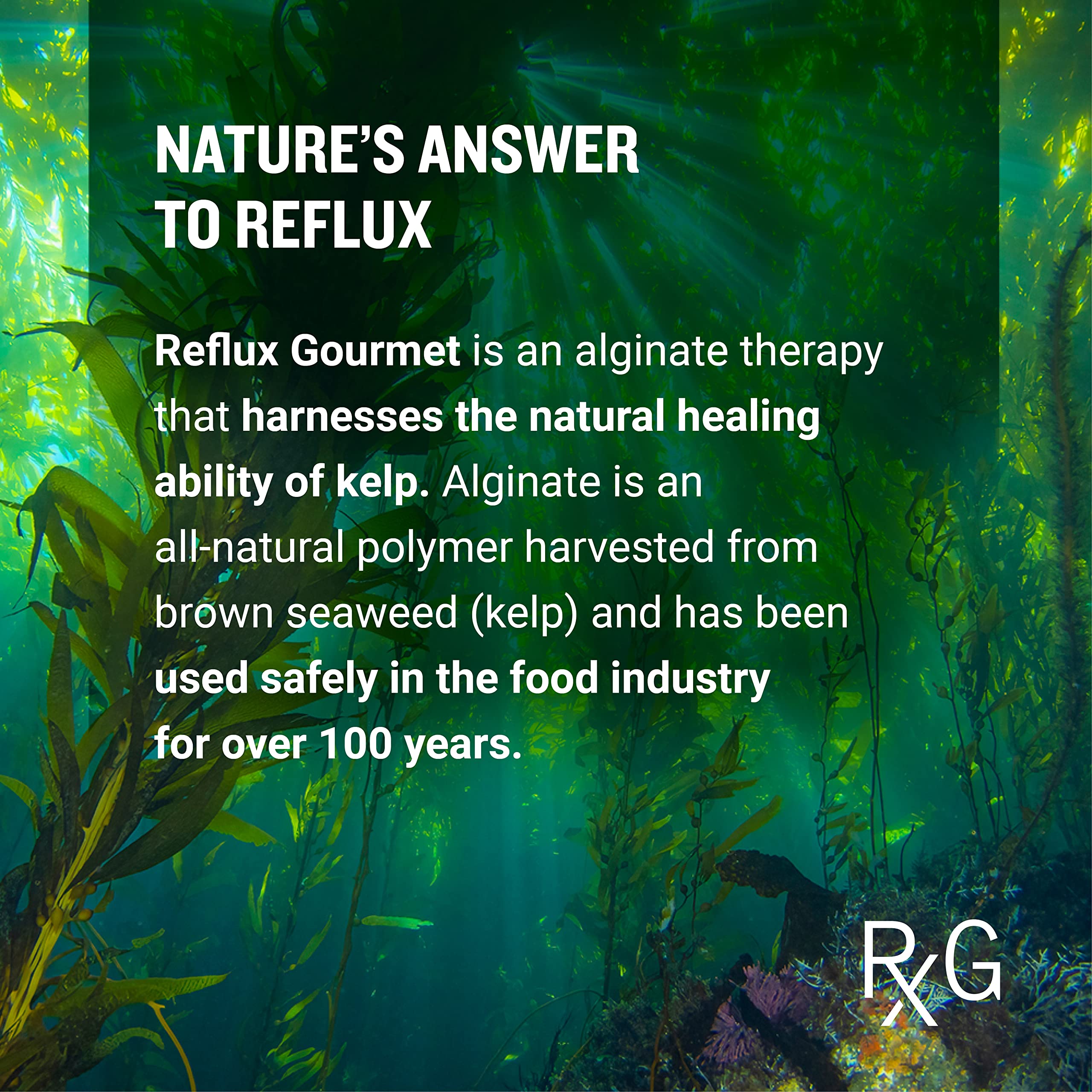 REFLUX GOURMET emballage élégant et recyclable — présentation pratique et responsable.