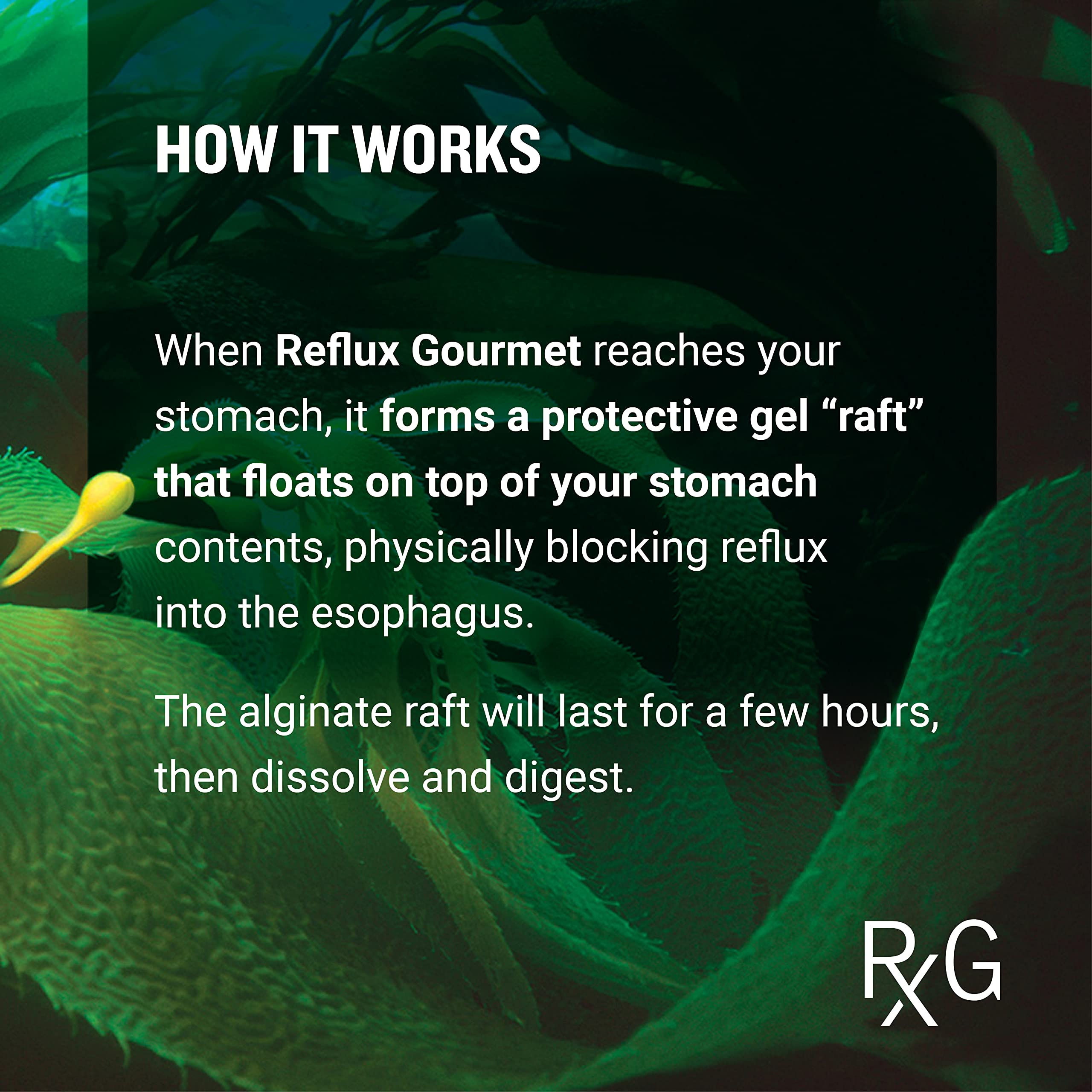 REFLUX GOURMET - Mesure 5 ml: dosage facile après chaque repas.