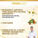 Regen Labs NeuroDrive, gélules, formulation adaptée à une routine cognitive quotidienne.