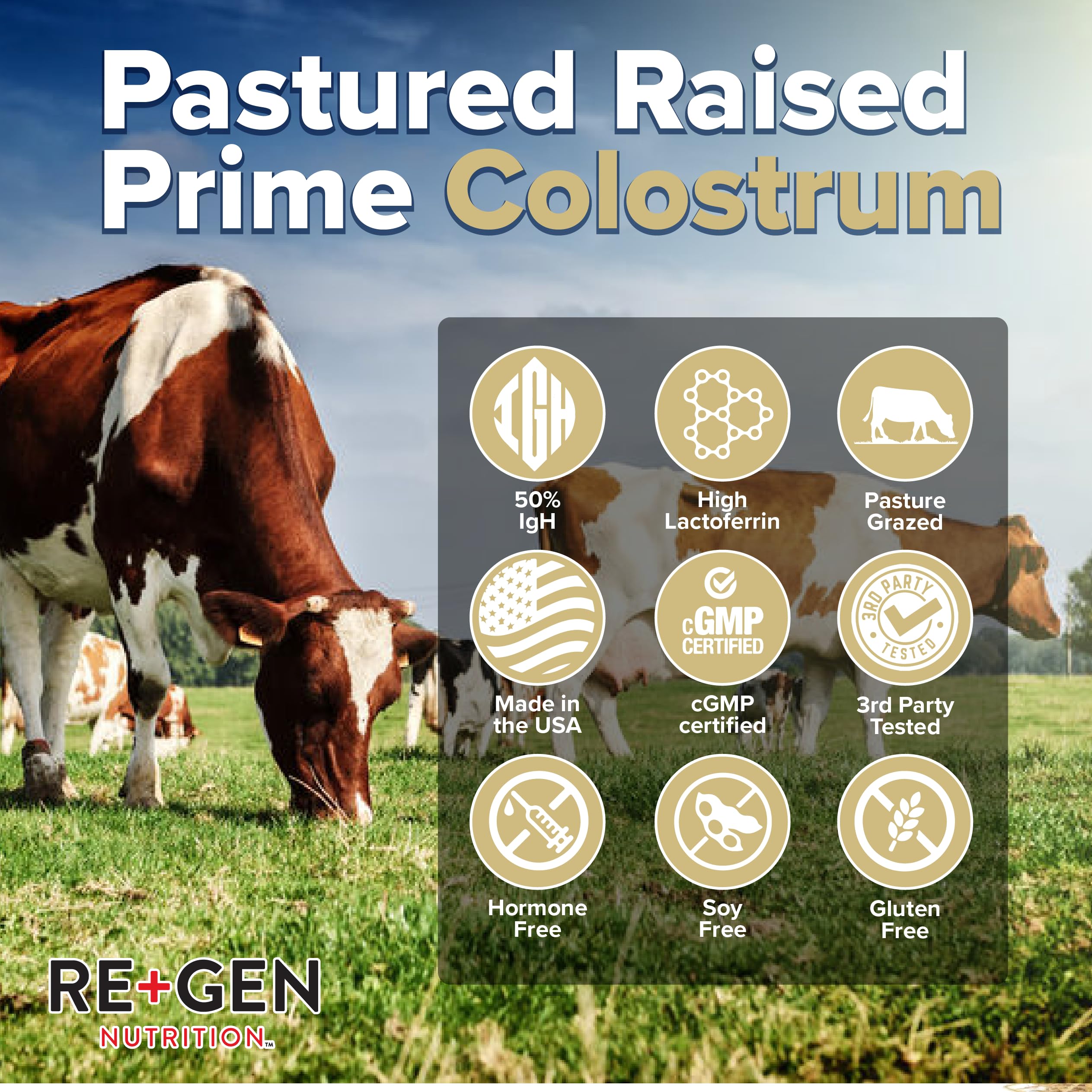 Regengen Nutrition Colostrum Gold 50 - verre d’eau: mélange rapide pour une boisson saine.