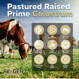 Regengen Nutrition Colostrum Gold 50 - verre d’eau: mélange rapide pour une boisson saine.