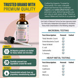 Rejuvica Health Balanced Femme: ingrédients clés dong-quai et vitex pour l'équilibre.