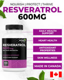 Flacon Renew Actives Resveratrol posé sur une table, ambiance premium pour le bien-être.