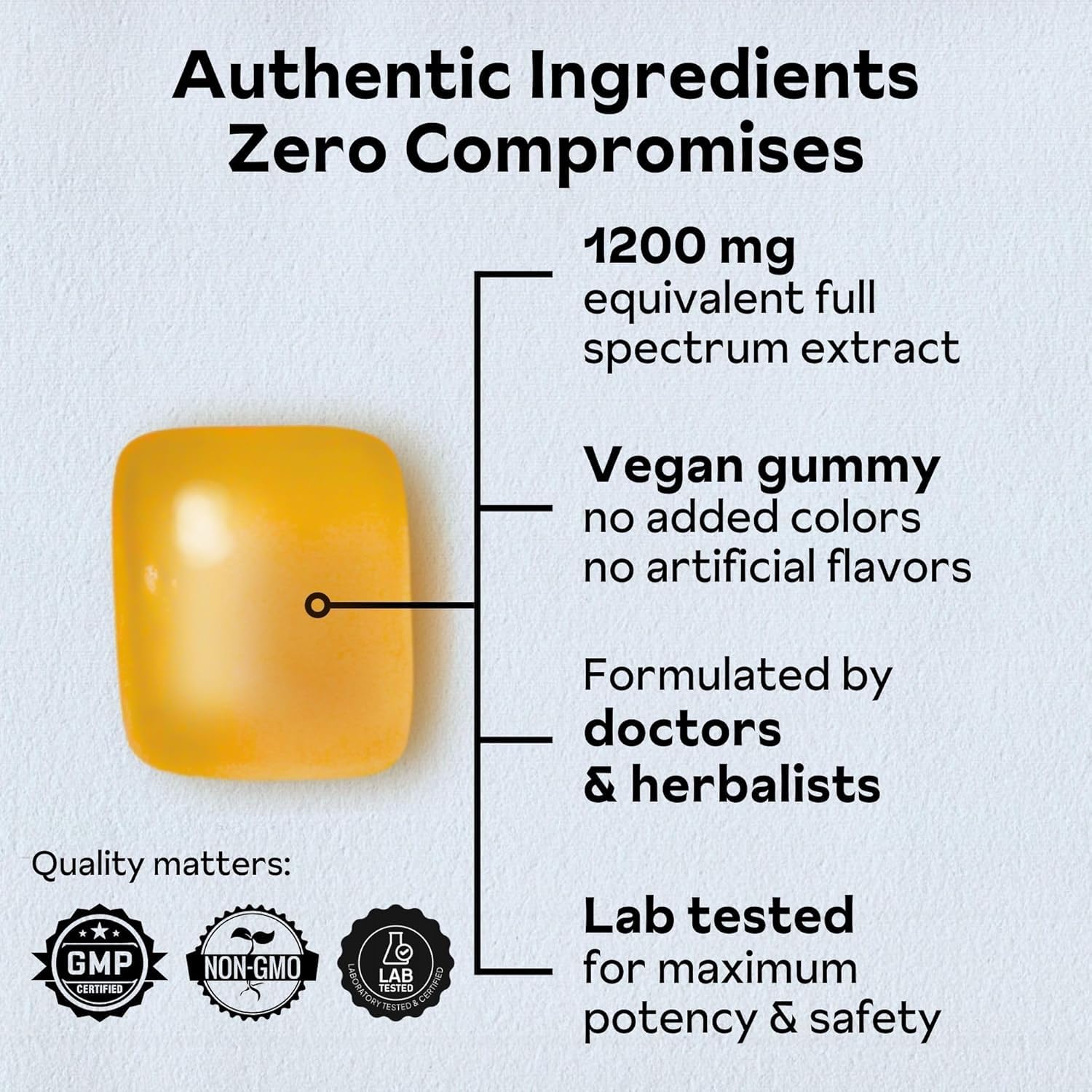 Gommes Reprise Extrait Panax 240 mg, format pratique au quotidien.