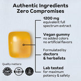 Gommes Reprise Extrait Panax 240 mg, format pratique au quotidien.