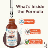 Glutathion, résvératrol et ginseng fermenté dans la formule liposomale Resciency