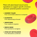 Essences florales RESCUE REMEDY – approche douce pour le calme.