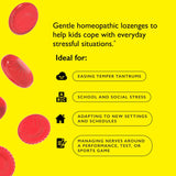Boîte RESCUE KIDS Pastilles – format pratique pour le sac et le quotidien.