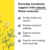 Mélange RESCUE de 5 fleurs avec tincture originale favorisant le calme en situation.