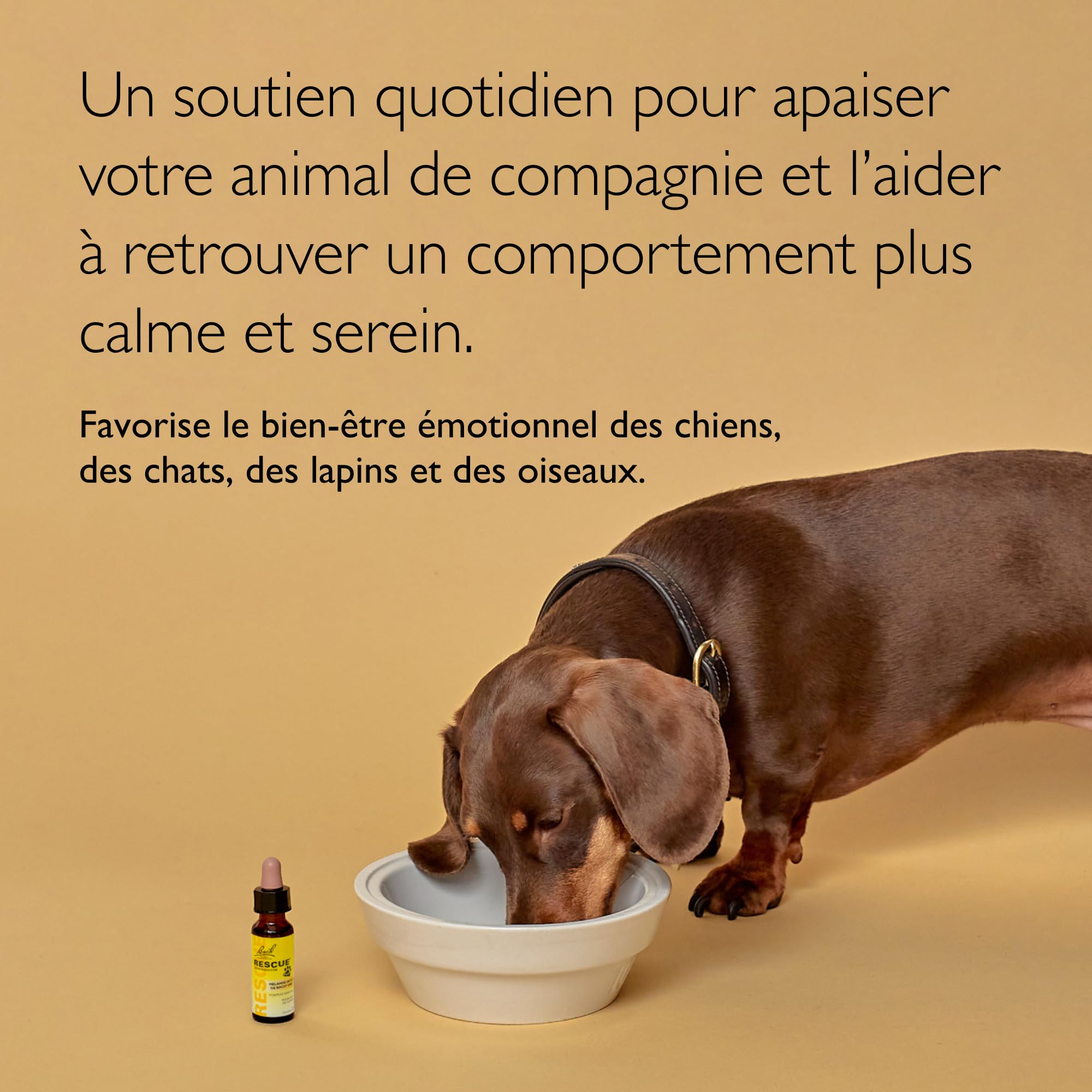RESCUE Pets gouttes appliquées sur friandise pour prise facile.