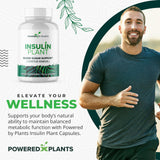 Poudre Costus Igneus du produit Research Biotech Group, ingrédient naturel clé.