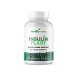 Capsules Insulin Plant de Research Biotech Group dans une boîte pratique pour votre routine.