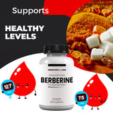 Capsules Berberine Research Labs – Dosage homogène et absorption améliorée