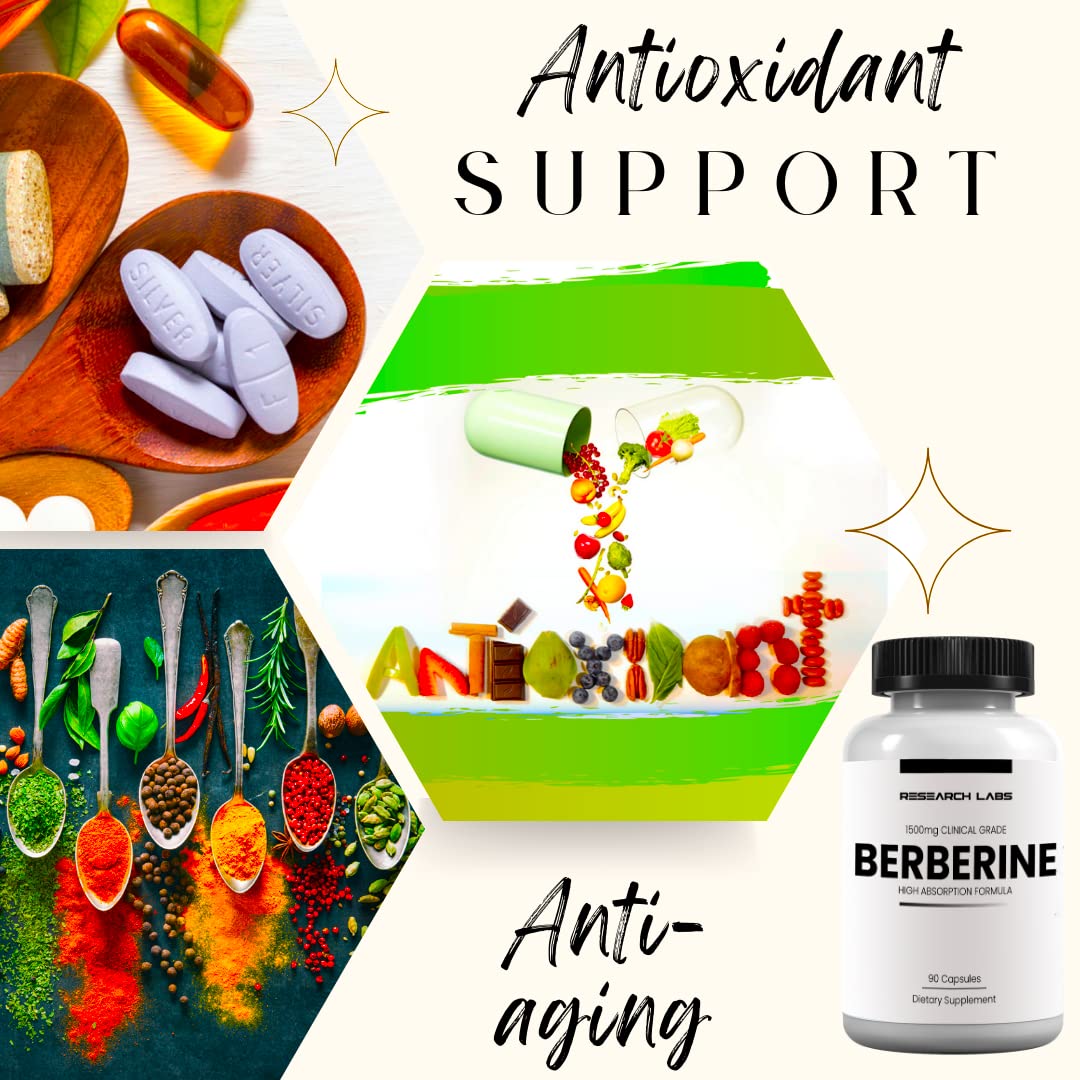 Dose quotidienne Berberine Research Labs – Plan facile à suivre