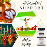Dose quotidienne Berberine Research Labs – Plan facile à suivre