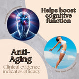 Research Labs NMNH 120 capsules, dosage par portion potentiellement soutenant l'énergie.