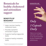Ingrédients riches en antioxydants du mélange Pro-Longevity Reserveage
