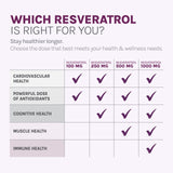 Reserveage Nutrition – emballage soigné et informatif prêt à l’emploi.