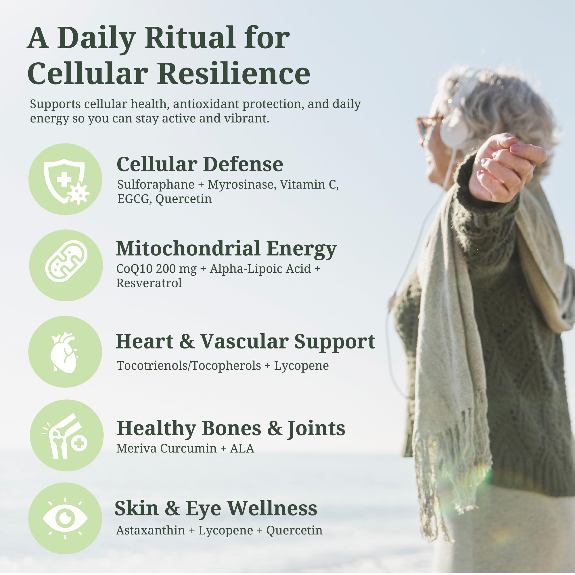 ResilienZ-12-sulforaphane-broccoraphanin: ingrédients actifs visibles pour soutien antioxydant