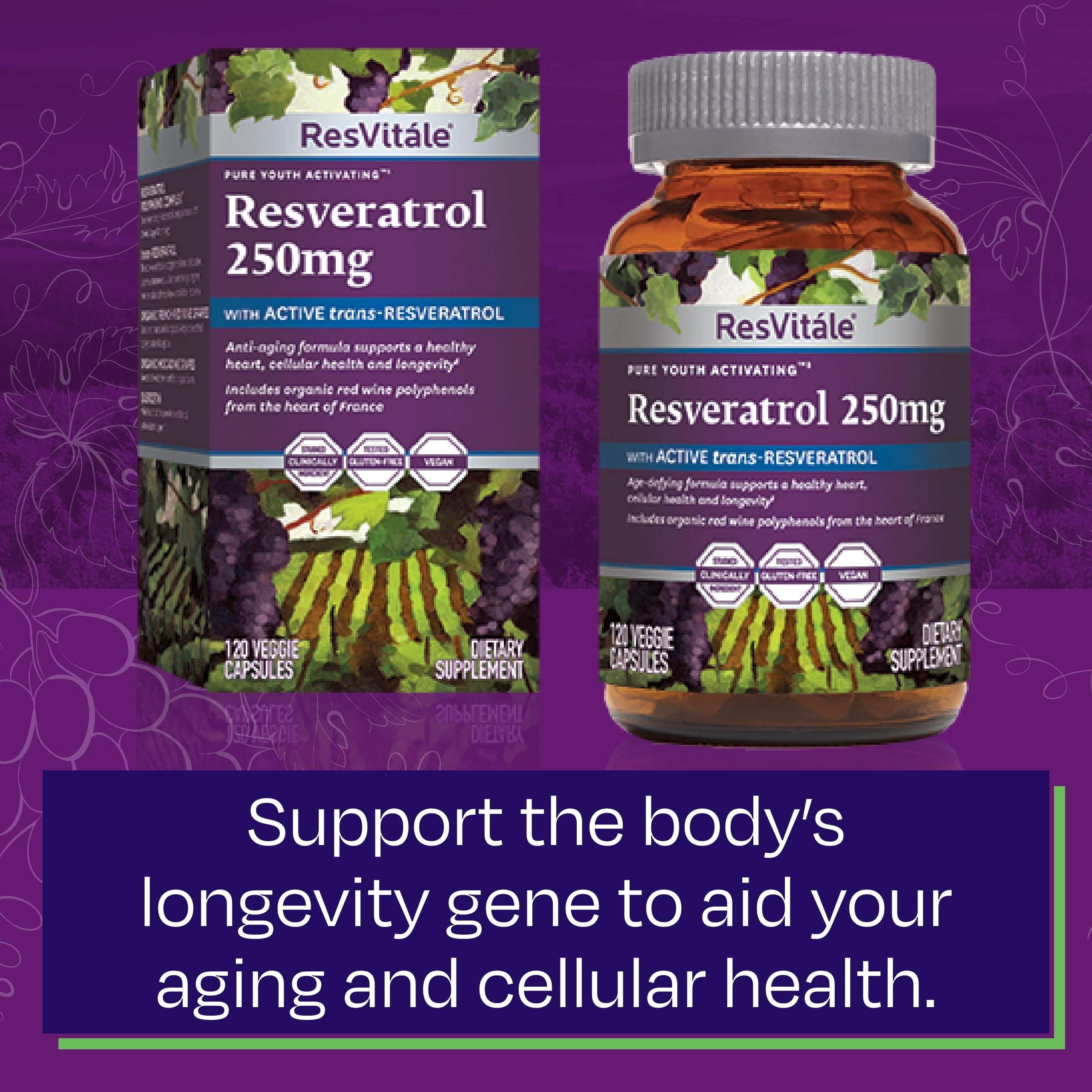 Polyphénols de vin rouge biologique dans ResVitale Resveratrol 250 mg, source naturelle