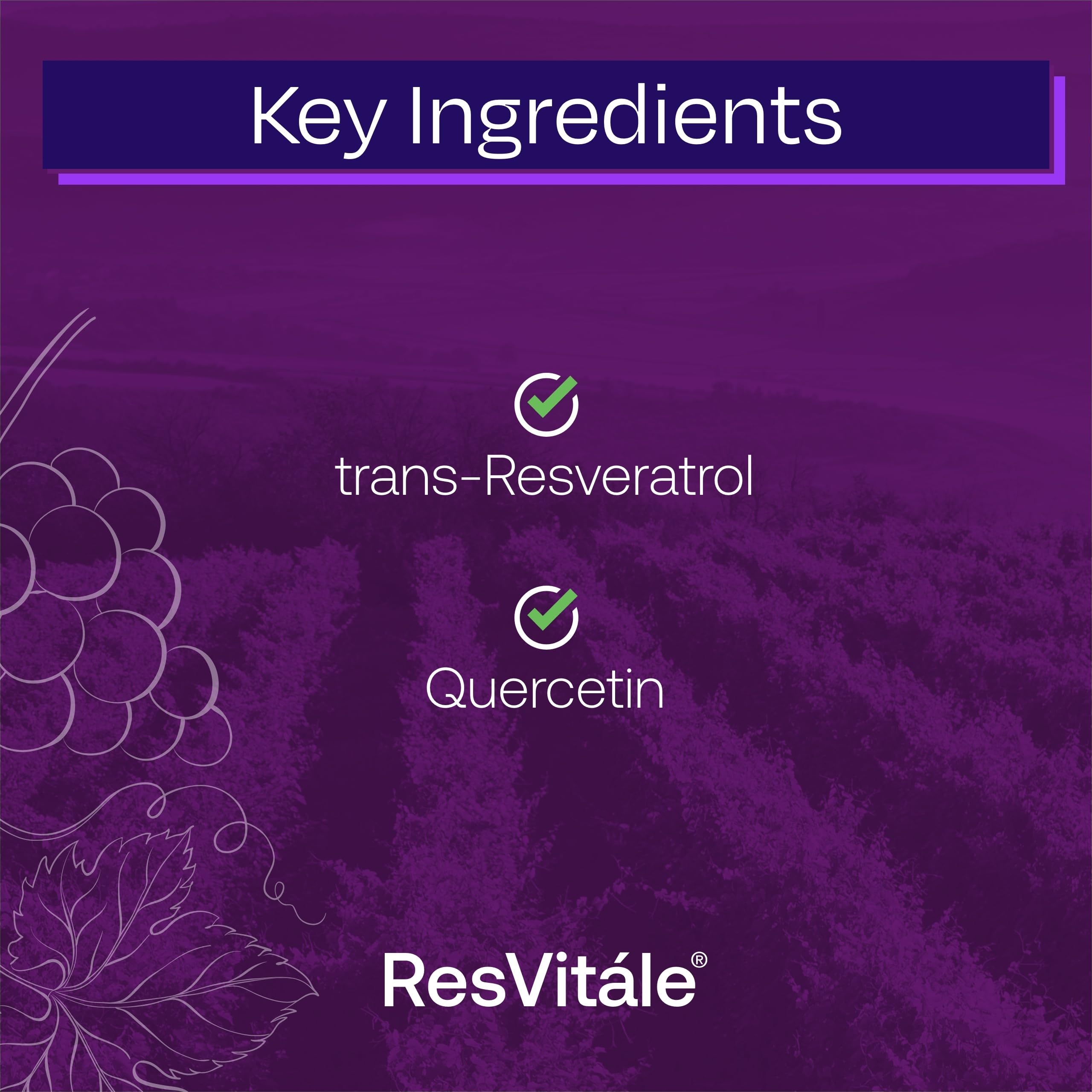 Prise quotidienne de gélule ResVitale Resveratrol 250 mg, pratique et flexible