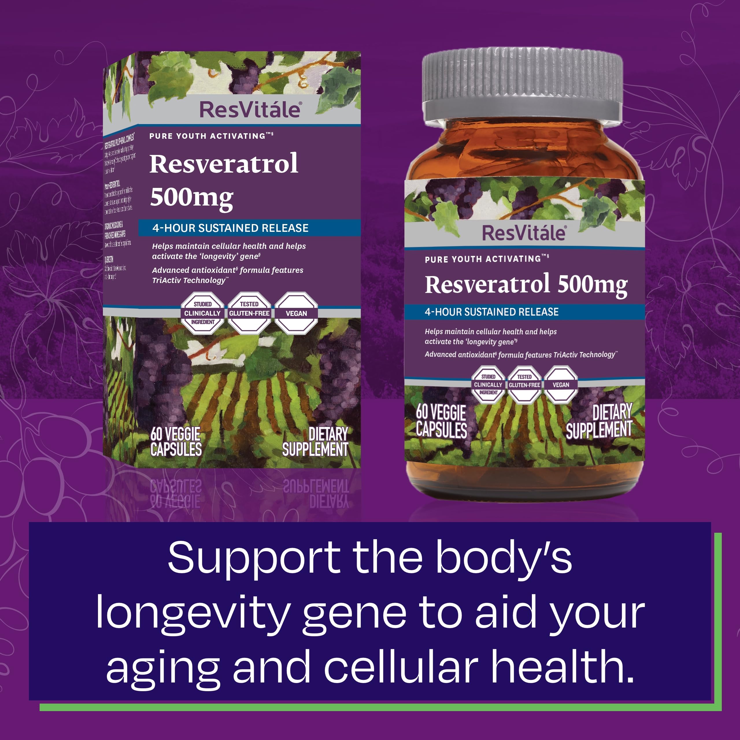Composition et ingrédients clés de ResVitale Résveratrol 500 mg
