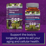 Composition et ingrédients clés de ResVitale Résveratrol 500 mg