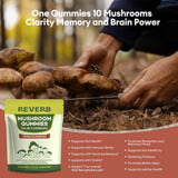 Gommes faciles à mâcher REVERB: meilleure absorption que les capsules.
